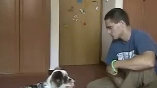 кликер1.wmv смотреть онлайн