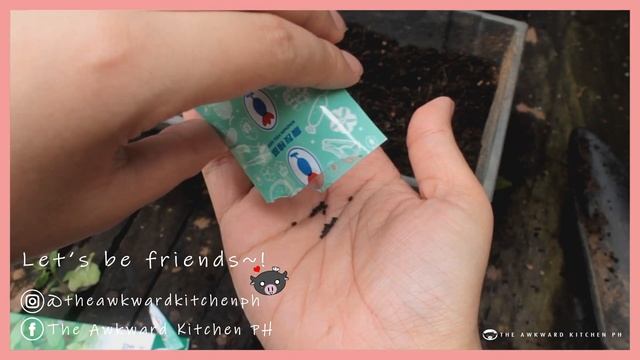 Vlog #5: I made my mom's SECRET APPLE PIE RECIPE! + I did some gardening... kinda :D смотреть онлайн