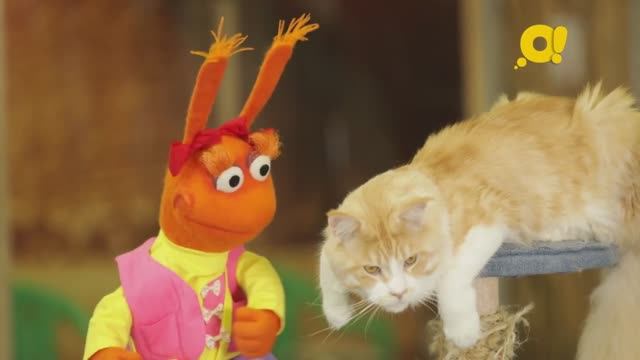 ТриО! Кошки смотреть онлайн