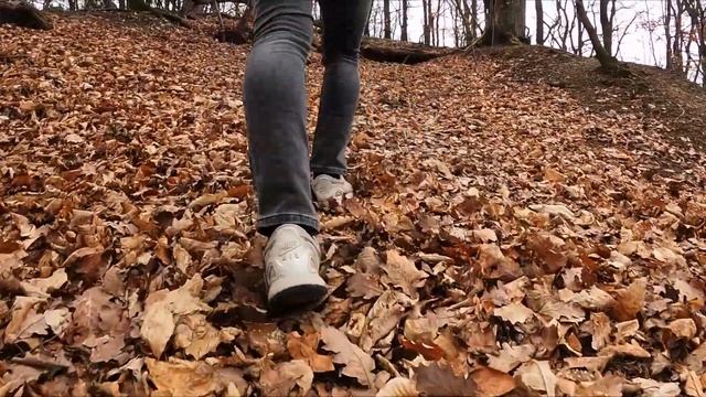 NEROBERG MAL ANDERS!!! - Ausblick über Wiesbaden смотреть онлайн