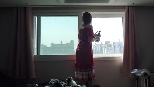 relaxing window cleaning asmr смотреть онлайн