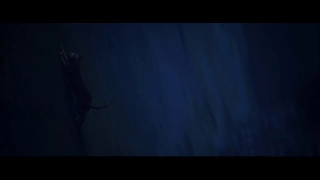 Stray | i9 9900K RTX 3080 Ti | 3840x1200 32:10 Ultrawide | Max Settings FPS TEST смотреть онлайн