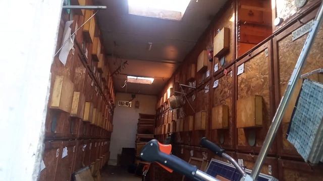 PASIEKA WĘDROWNA W RUMUNII смотреть онлайн