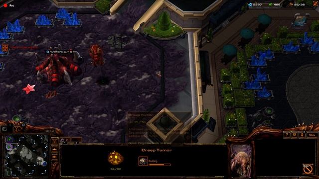 Introduction to Starcraft II: The Zerg Race смотреть онлайн