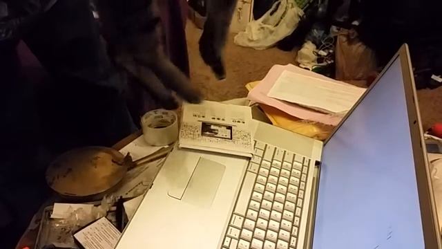 Loading a Kitty Cat (OS X 10.6.5) into a MacBook смотреть онлайн