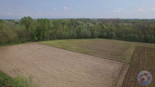 Test Litchi 2 смотреть онлайн