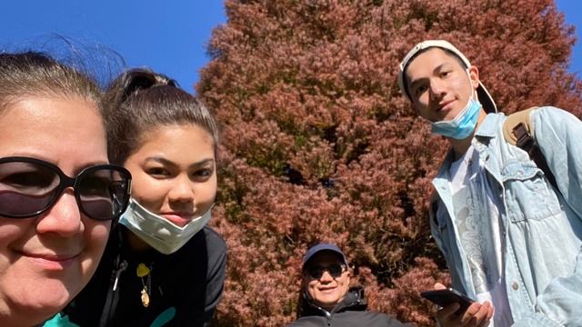 Arthurs Seat adventure смотреть онлайн