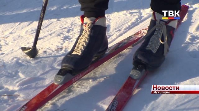 За один день 36 школьников Искитима сдали тест ГТО по лыжным гонкам на золотой значок смотреть онлайн