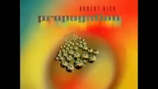 Robert Rich - Animus (Propagation) смотреть онлайн