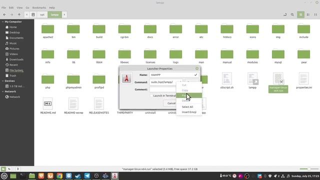 How to create shortcut for XAMPP in Linux Mint 20.2 смотреть онлайн