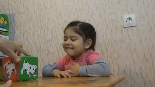 Учимся играя. Кубики с картинками. Studing And Playing.  Bricks With Pictures.