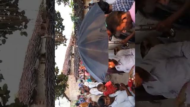 बजरंगबली मंदिर नाचते हुए सब लोग जवारa सिराजपुर माफी смотреть онлайн