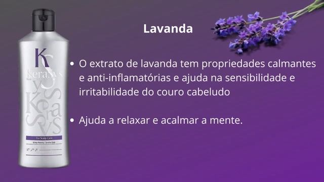 SHAMPOO ANTIQUEDA - Entenda as diferenças, como eles funcionam e se vale a pena o investimento. смотреть онлайн