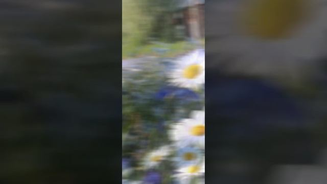 Все мы так давно ждали это волшебное лето! #рекомендации #рек смотреть онлайн