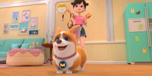 Корги по имени Моко. Простые истории, 102 серия. Как выгуливать пса