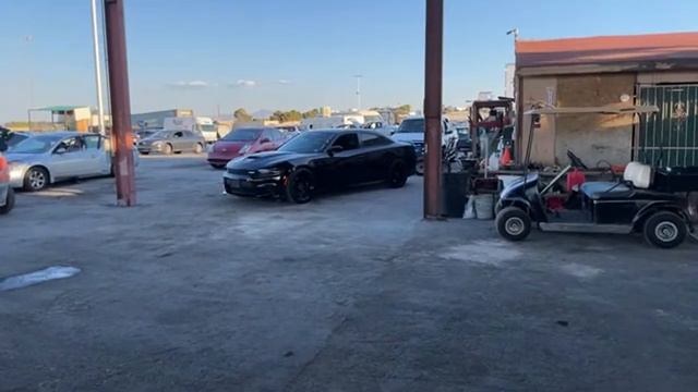 Trying to win this 2017 Dodge Charger from the Auction! смотреть онлайн