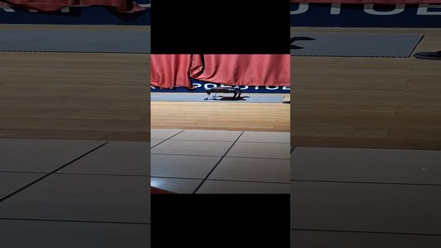 робо собака