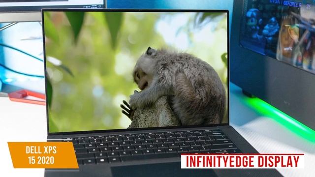 5 Best Graphic Design Laptops in 2021 смотреть онлайн