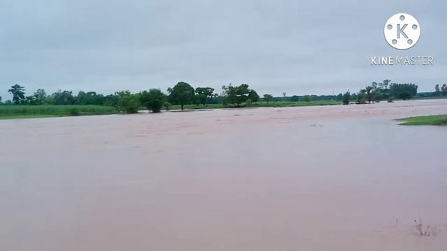 kerandimal 😍 pur pani 🔥 koraputa video 1.m like kor смотреть онлайн