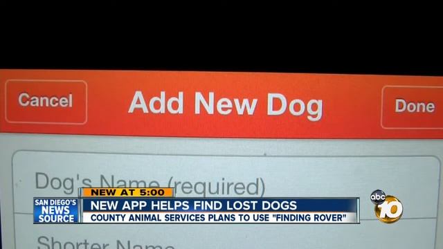 New facial recognition app Finding Rover helps find lost dogs смотреть онлайн