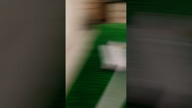 17 ноября 2023 г. смотреть онлайн