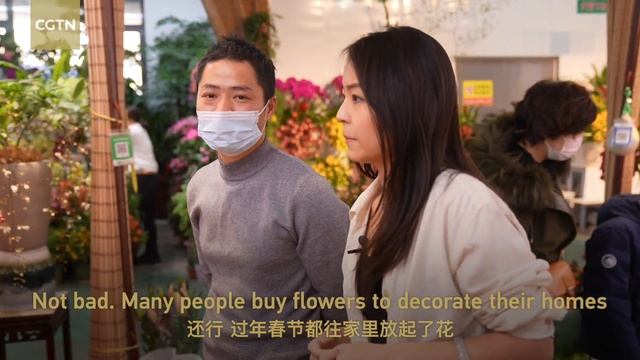 Chinese New Year Flowers: Into Beijing смотреть онлайн