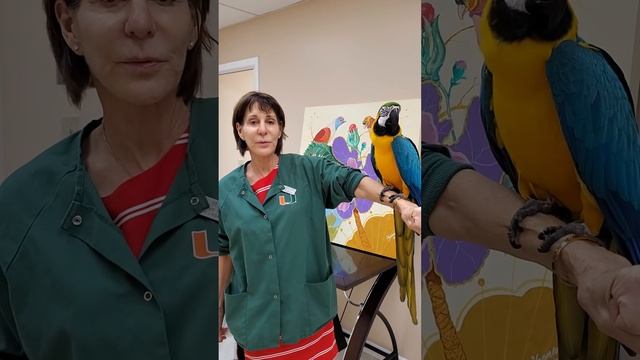 Dr. Joseph Laguna MD and his wife Linda смотреть онлайн