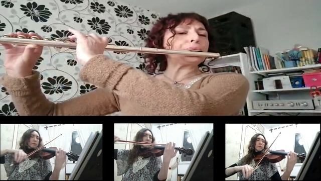 HOMENAJE A ENNIO MORRICONE: "El oboe de Gabriel" (versión para flauta y cuerdas) смотреть онлайн