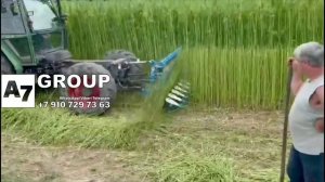 Косилка для конопли технической #косилка  #травы #конопля