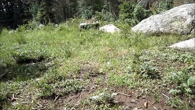 Trip to Sig creak Crawler King after the rain смотреть онлайн