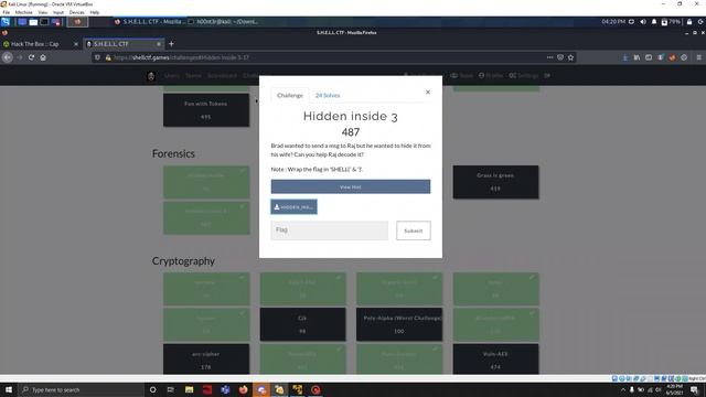 S.H.E.L.L CTF - Hidden Inside 3 (Stego) смотреть онлайн