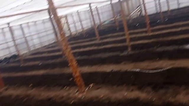 Хотеть не вредно смотреть онлайн