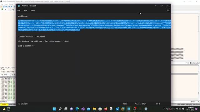 PE Backdooring | Injecting stageless shellcode into an executable | Malware development смотреть онлайн