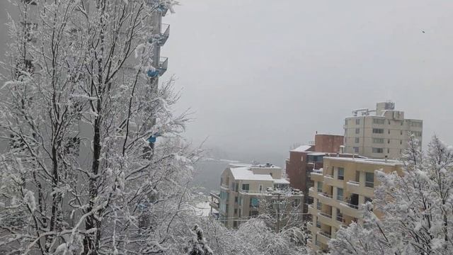 Jan. 2024 snowing by my window Vancouver BC @leoinocellas6112 смотреть онлайн
