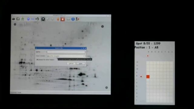 How to Pick Gels with Screen Picker - no need of post staining or robotic software (pt2) смотреть онлайн