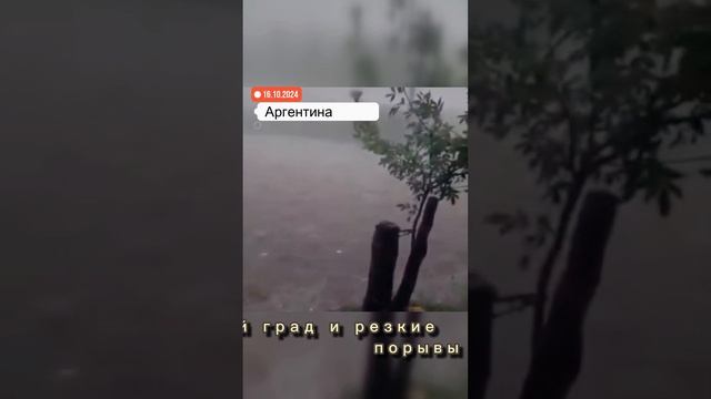 В Наико и около парка Луро