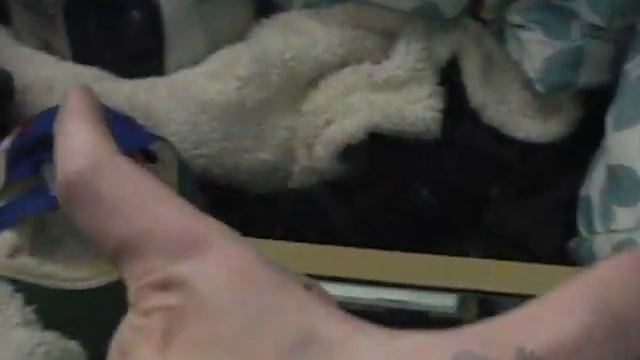 Zenith Z-158 (ZF-158-42) XT Clone System Exploration смотреть онлайн