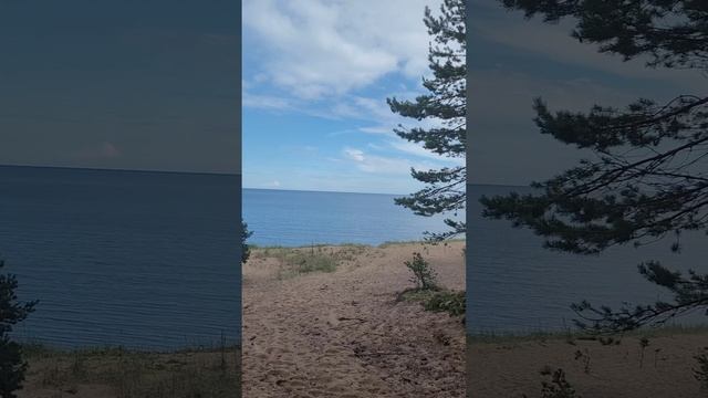 Карелия 2024. Ладожское озеро. Приозерск. Июль 2024 (Часть 1).mp4 смотреть онлайн