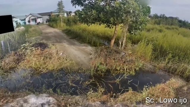 4 aplikasi edit - cara membuat 360 video - termudah смотреть онлайн