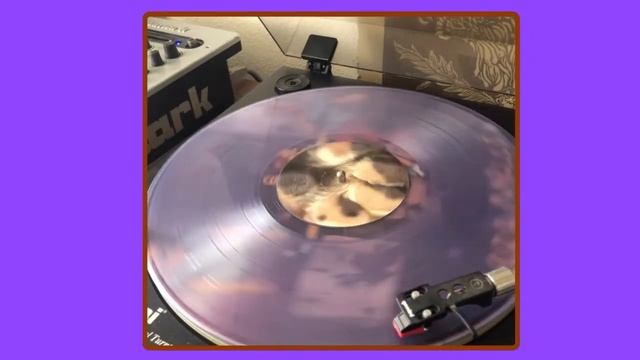 Tera Melos - Patagonian Rats - Side A / B / C / D смотреть онлайн