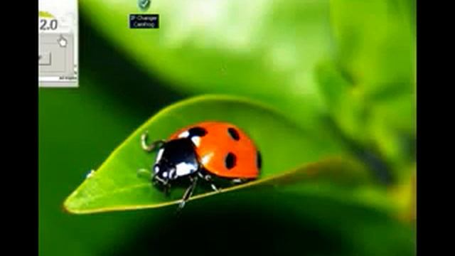 IP Changer Camfrog 6 2011 YouTube смотреть онлайн