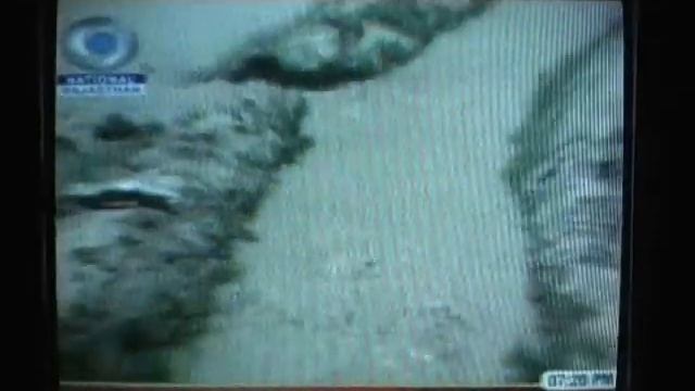 vinod_bishnoi_11-07-10.wmv смотреть онлайн