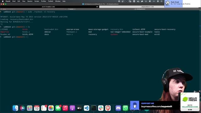 Raspberry Pi setup and adding Tailscale. !learngo !hiring смотреть онлайн