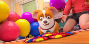 Корги по имени Моко. Простые истории, 56 серия. Надувные шарики 