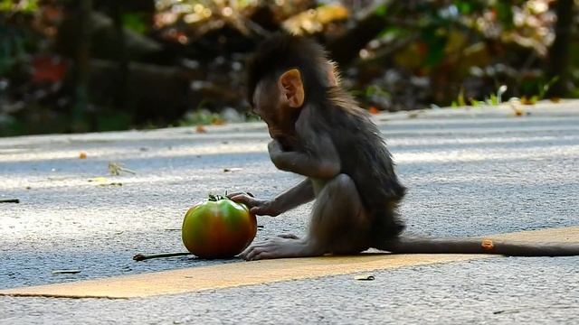 Horrible.! Don't Cut My Ear... Adorable Baby Extremely Cry Concern Escape By Act Like This. смотреть онлайн