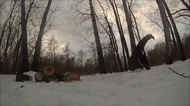 Linkoln and Belskiy, Kuscovo Park (2013) смотреть онлайн