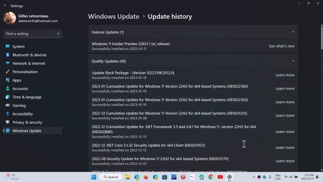 Windows 10 11 Bug Fixes VS Security fixes difference смотреть онлайн