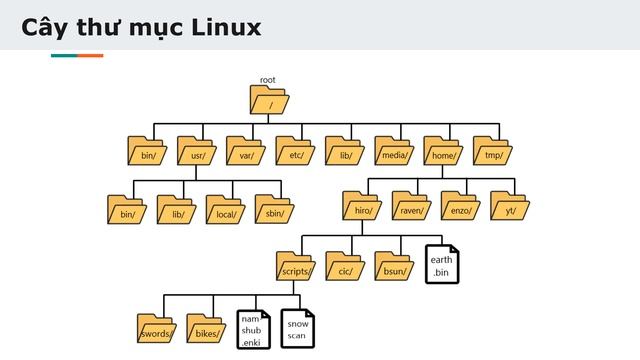 Linux cho người mới bắt đầu: Sử dụng các lệnh cd, pwd, ls (phần 1) смотреть онлайн