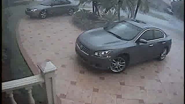 Summertime rainstorms have started in Miami, FL - ZoneMinder - Test Export смотреть онлайн