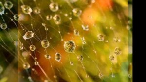 Вальс дождя - Фредерик Шопен.mp4